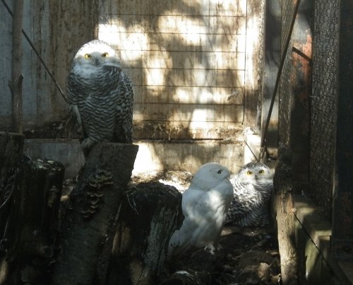 9月23日のスポットガイド