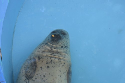 9月26日のスポットガイド