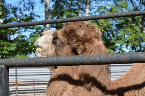 9月27日のスポットガイド