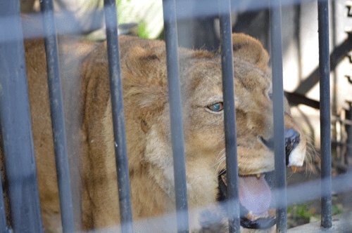 9月28日のスポットガイド