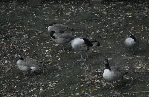 9月29日のスポットガイド