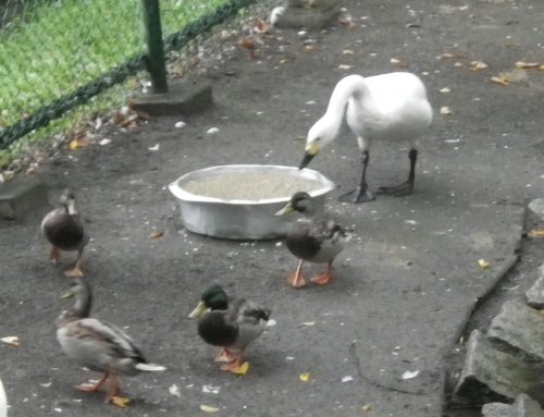 9月30日のスポットガイド