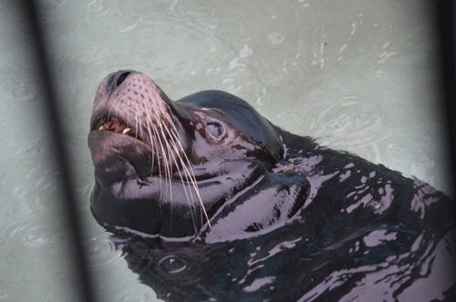10月1日のスポットガイド