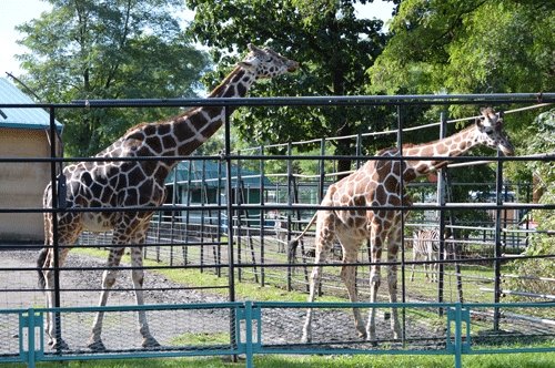 10月2日のスポットガイド