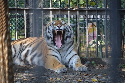 10月3日のスポットガイド