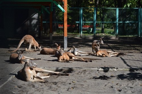 10月4日のスポットガイド