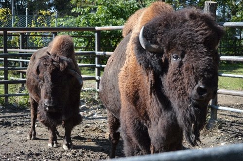 10月5日のスポットガイド
