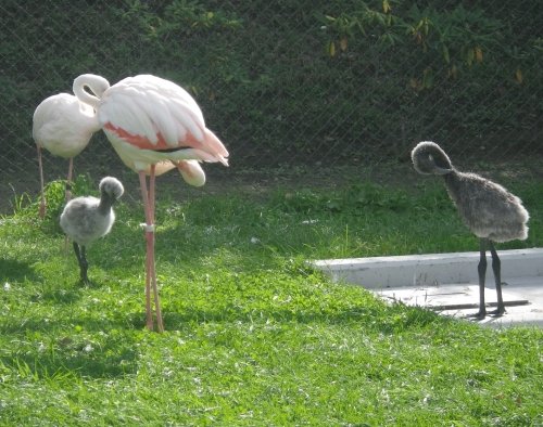 10月6日のスポットガイド