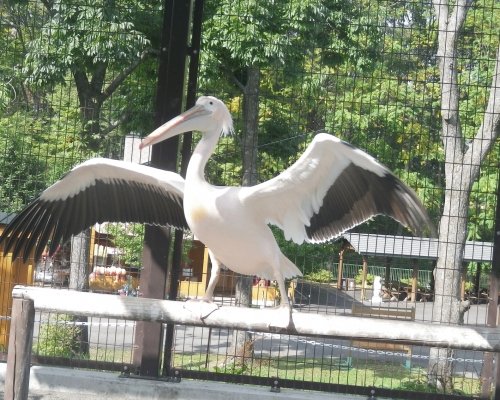 10月7日のスポットガイド