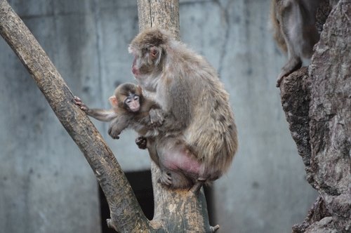 10月9日のスポットガイド