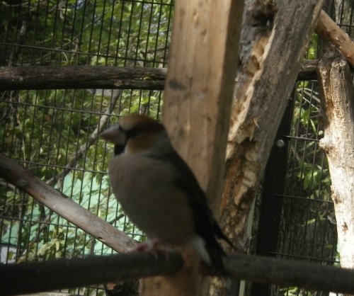 10月13日のスポットガイド