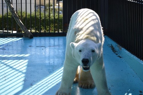 10月17日のスポットガイド