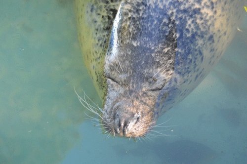 10月18日のスポットガイド