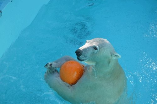 10月19日のスポットガイド