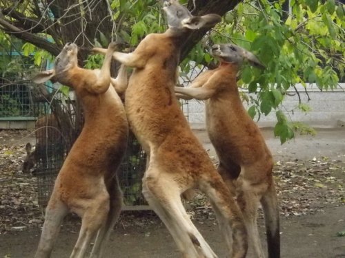 10月20日のスポットガイド