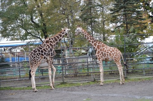 10月22日のスポットガイド