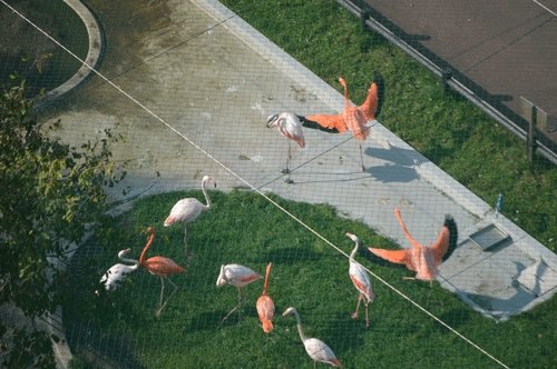 10月23日のスポットガイド