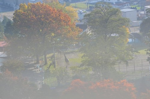 10月24日のスポットガイド