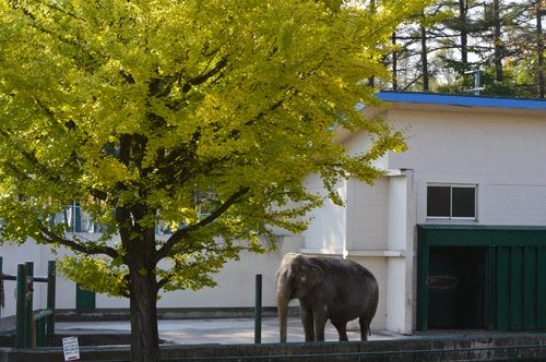 10月26日のスポットガイド