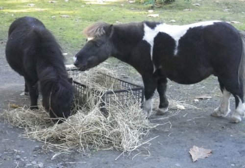 10月27日のスポットガイド