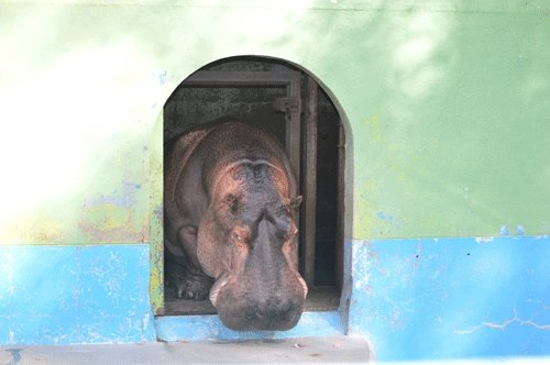 10月29日のスポットガイド