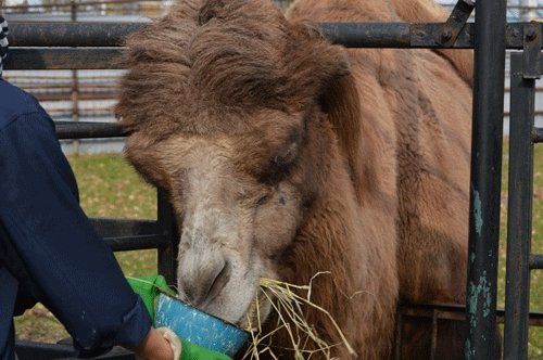 10月30日のスポットガイド
