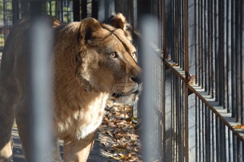 10月31日のスポットガイド