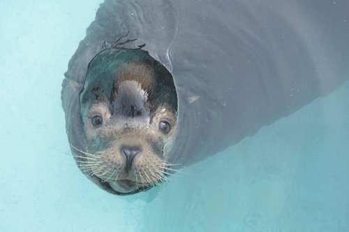 11月1日のスポットガイド