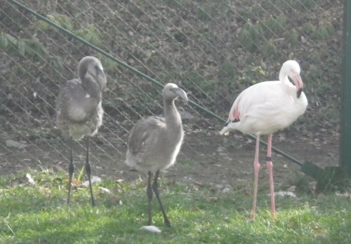 11月3日のスポットガイド