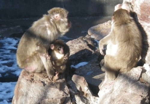 12月1日のスポットガイド