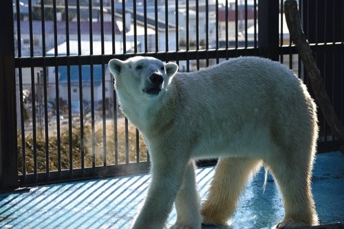 12月7日のスポットガイド