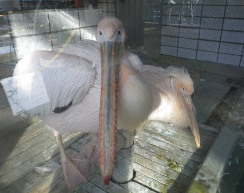 12月8日のスポットガイド