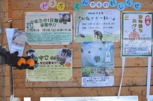 12月14日のスポットガイド