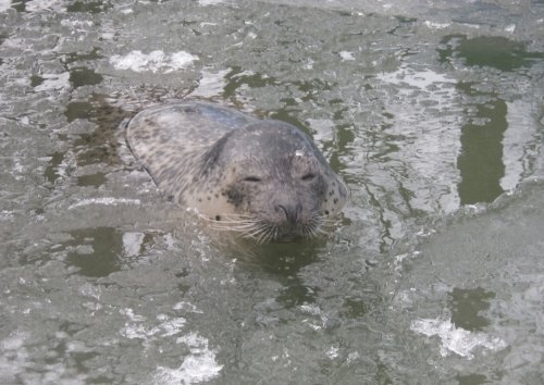 12月15日のスポットガイド