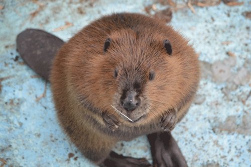 12月21日のスポットガイド