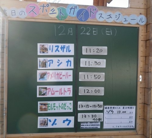 12月22日のスポットガイド