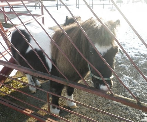 12月23日のスポットガイド