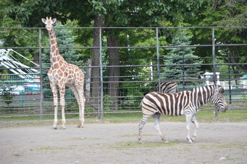 12月28日のスポットガイド