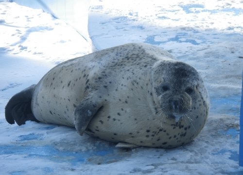 1月4日のスポットガイド