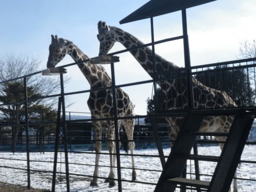 1月5日のスポットガイド