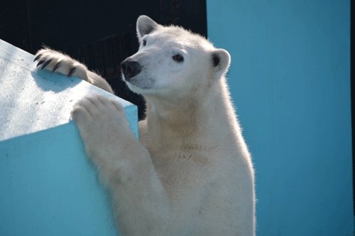 1月11日のスポットガイド