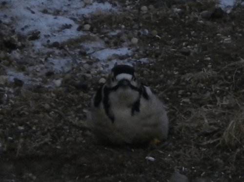 1月12日のスポットガイド