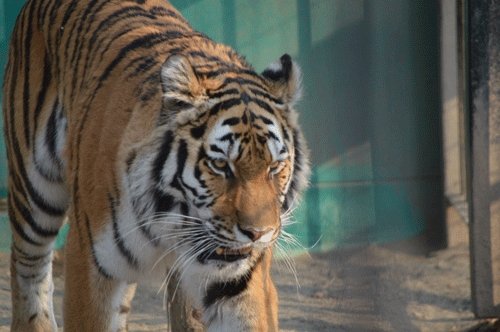 1月25日のスポットガイド