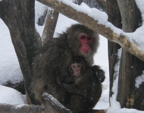 1月26日のスポットガイド