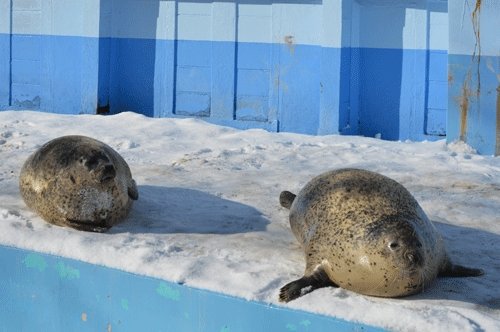 1月31日のスポットガイド(今日は開園日です)