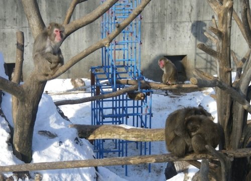 2月2日のスポットガイド