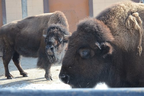 2月8日のスポットガイド