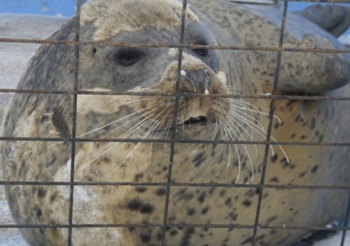 2月9日のスポットガイド