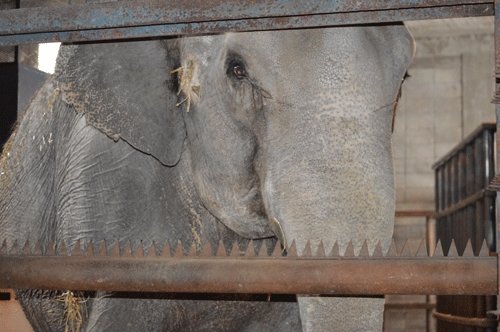 2月15日のスポットガイド