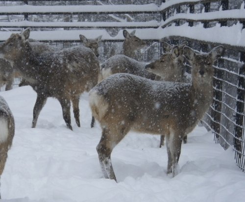 2月16日のスポットガイド